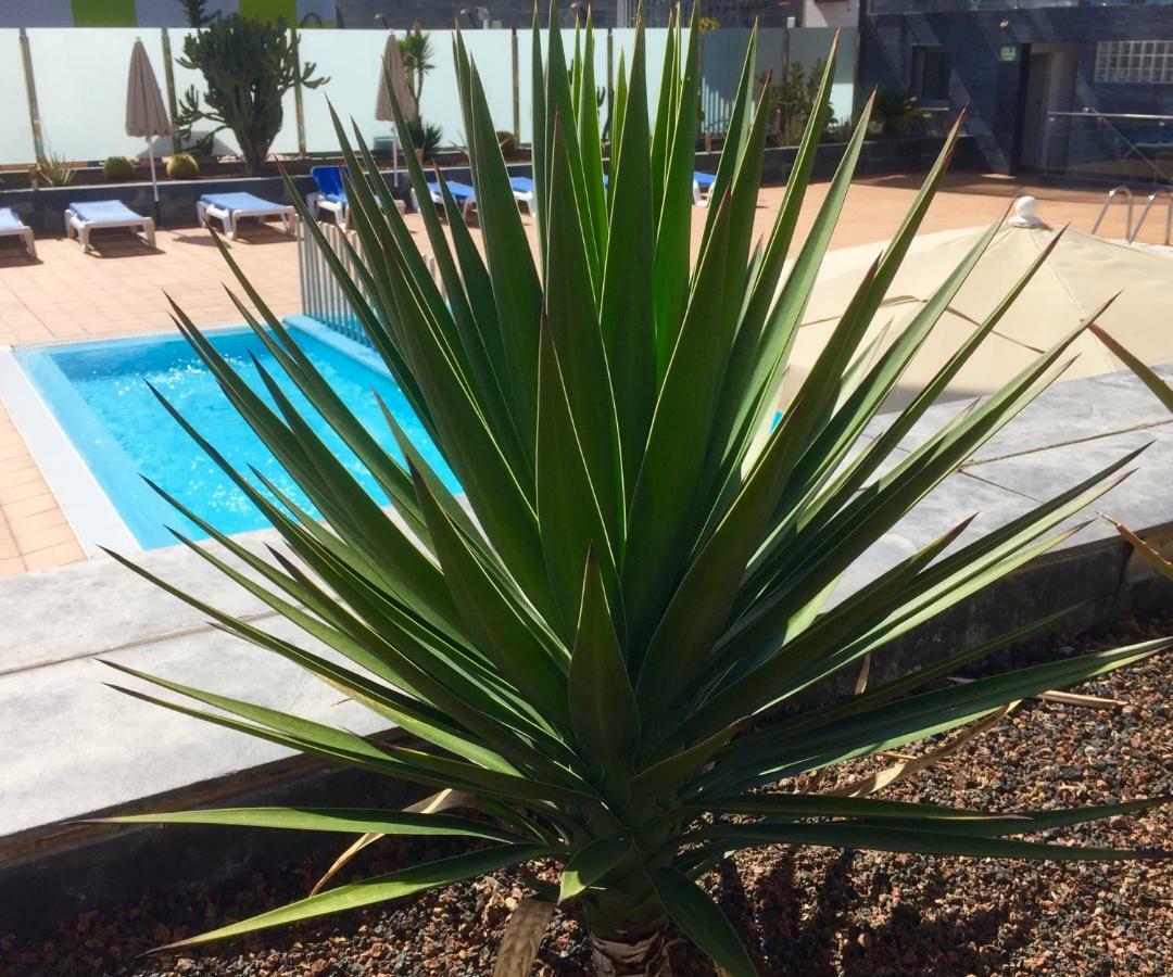 Appartement Blue Dream Playa à Corralejo Extérieur photo